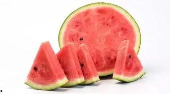 吃瓜也不容易,揭秘吃瓜背后的辛酸与智慧