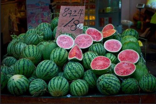 崇明吃瓜,瓜果飘香，品味田园生活