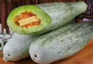 专心吃瓜的小吃货,专心吃瓜的吃货日常