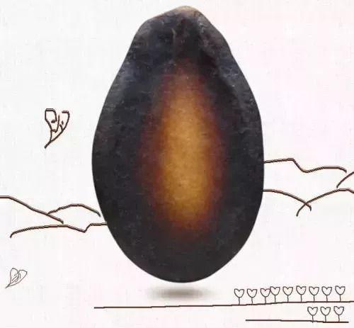 黑吃瓜不吐籽儿,揭秘娱乐圈的暗流涌动