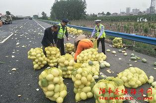 唐山花店吃瓜群众,吃瓜群众的聚集地，揭秘花店里的秘密生活