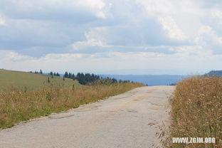 梦见在树上摘瓜吃瓜,树上摘瓜的奇幻之旅