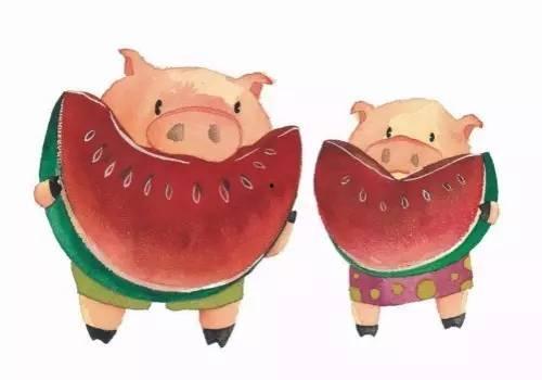 吃瓜直播猪七七,揭秘娱乐圈幕后故事