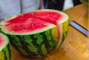 伍瘦瘦椰子吃瓜,揭秘娱乐圈幕后故事