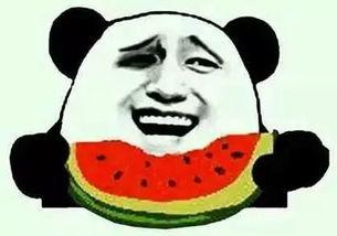 吃瓜慢脚,揭秘娱乐圈的悠闲生活与幕后故事