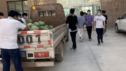 林州吃瓜新闻事件,一场引发全民热议的“瓜田风波”