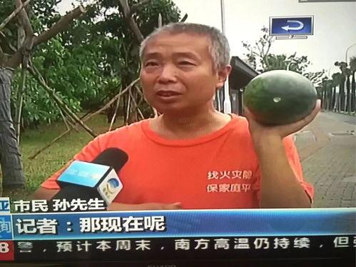 顺平吃瓜群众事件,揭秘网络舆论背后的真相