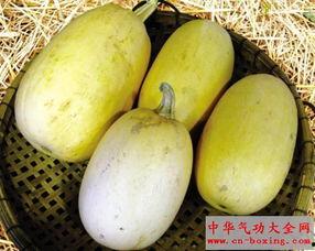 鱼翅瓜可以怎样吃,创意烹饪新主张