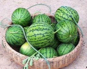 云南小伙吃瓜bgm,bgm音乐助力夏日狂欢