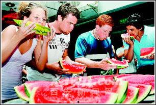 老外吃瓜站姿,一窥西方饮食习惯的趣味瞬间