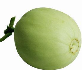 老外吃梨瓜,异国风情下的甜蜜邂逅